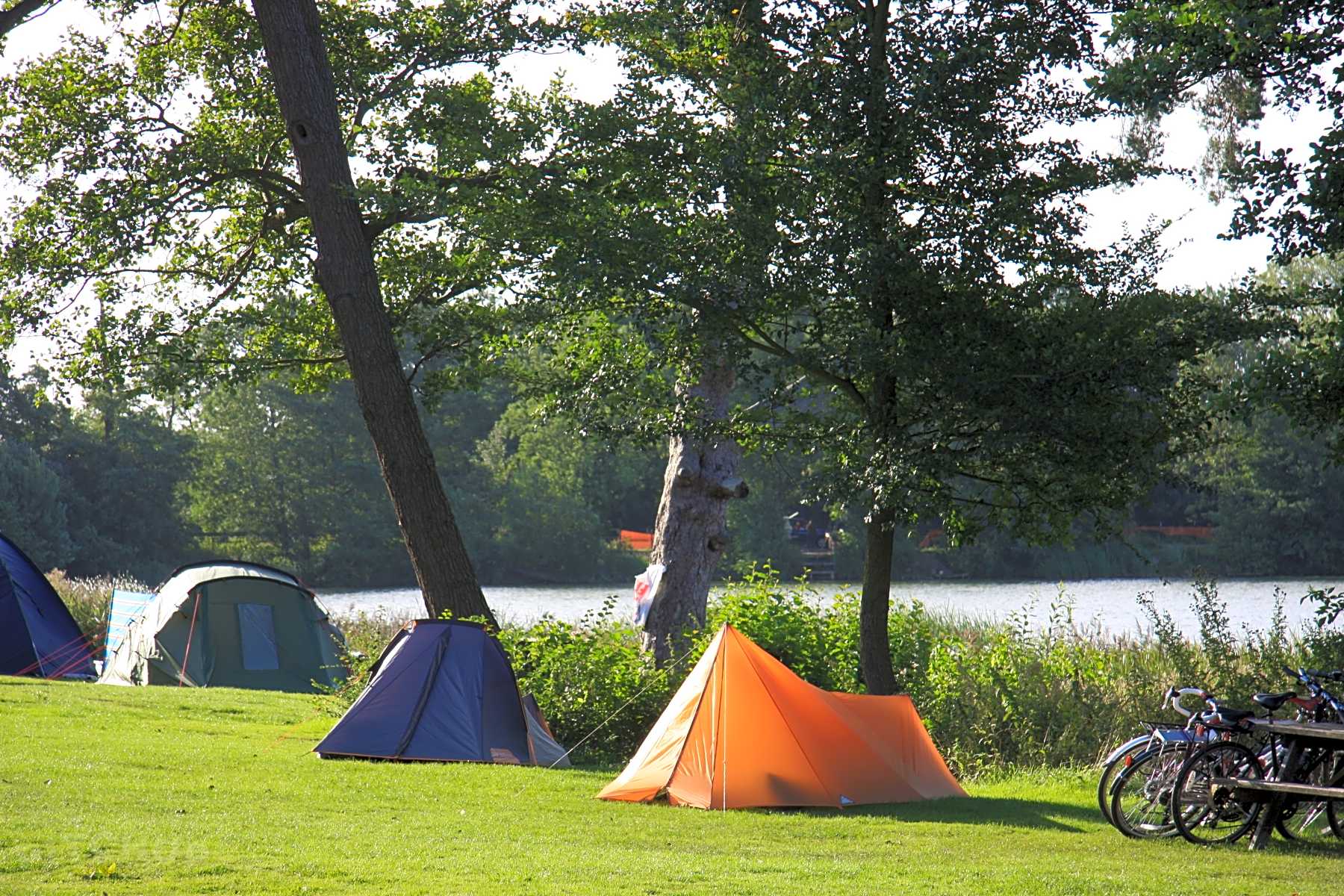 Campsites in Gosfield, Essex from £ 10/nt - Pitchup.