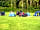 Treacle Valley Campsite: Grassy pitches