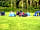 Treacle Valley Campsite: Grassy pitches (photo added by manager on 22/03/2017)