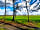 EuroParcs De Wiltzangh: Campsite surroundings