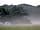 Clarefield Copse Wild Camping: Mist rising over the campsite. (photo added by  on 20/06/2022)