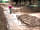 Wheeldon Farm: BMX track
