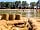 Camping Wedderbergen: Lake beach