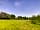 Small Trees Campsite: Newly cut field