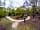 Matley Wood Caravan and Camping Site: Forest setting