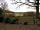 Blackberry Wood Campsite: Views from site