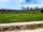 Hobson Farm