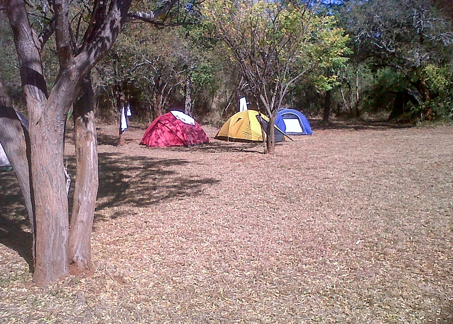 Campsites in South Africa 2025 from R250 nt Pitchup