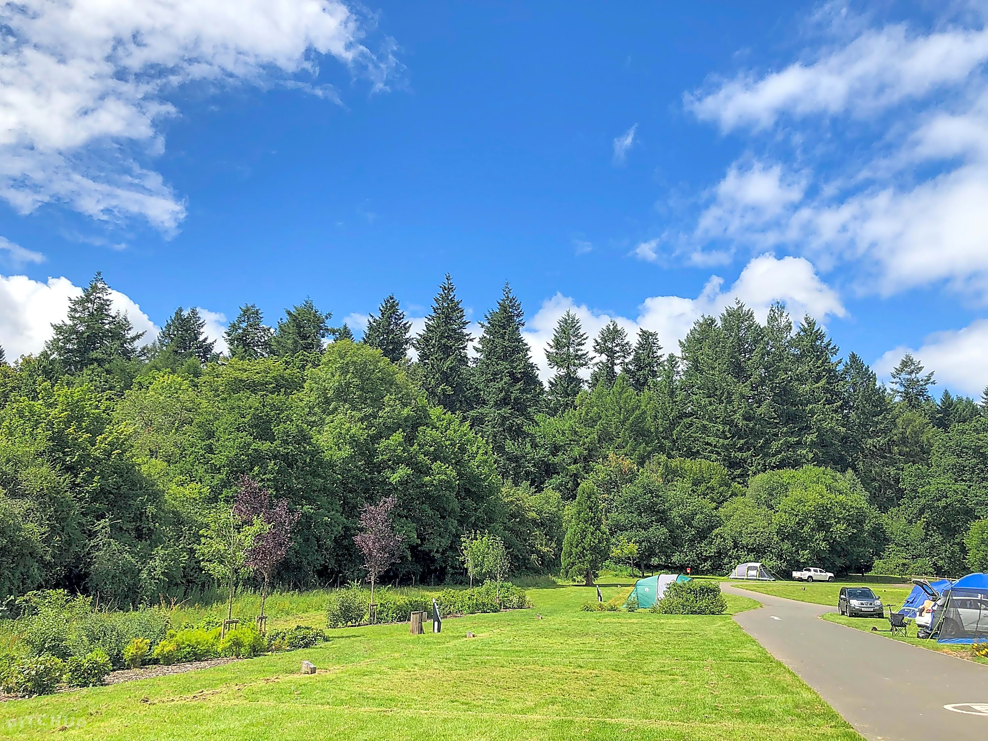 Whitemead Forest Park, Lydney, Gloucestershire Updated 2024 prices