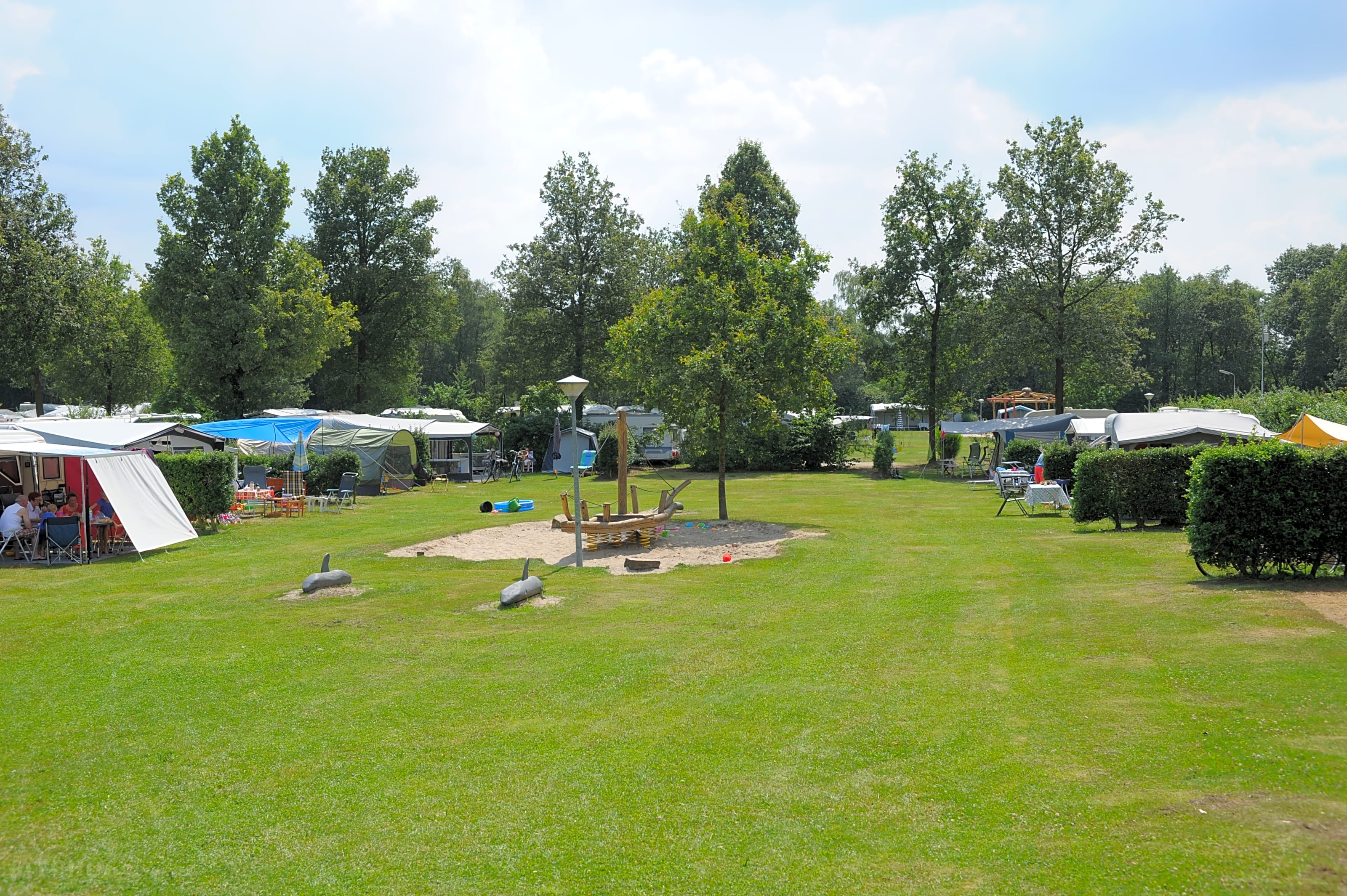 habe Spaß sicherlich Aktion camping t schinkel Exposition Polizist Plaudern