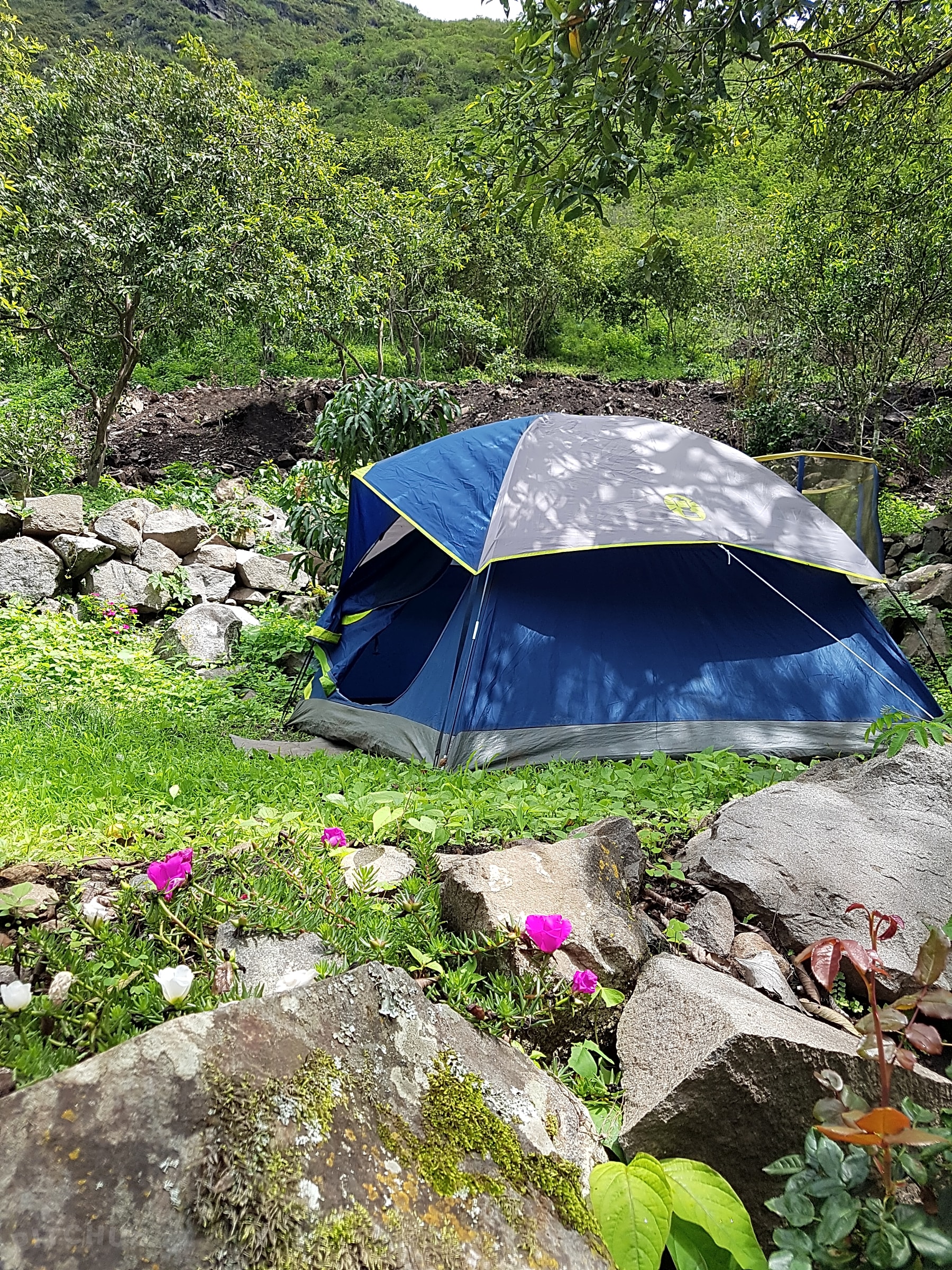 Huigra Viejo Camping, Alausí, Chimborazo Pitchup