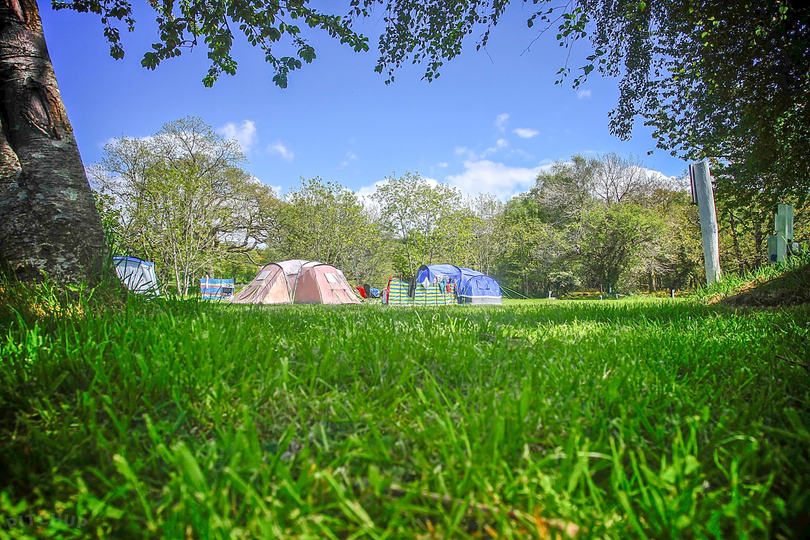 Riverside camping new arrivals