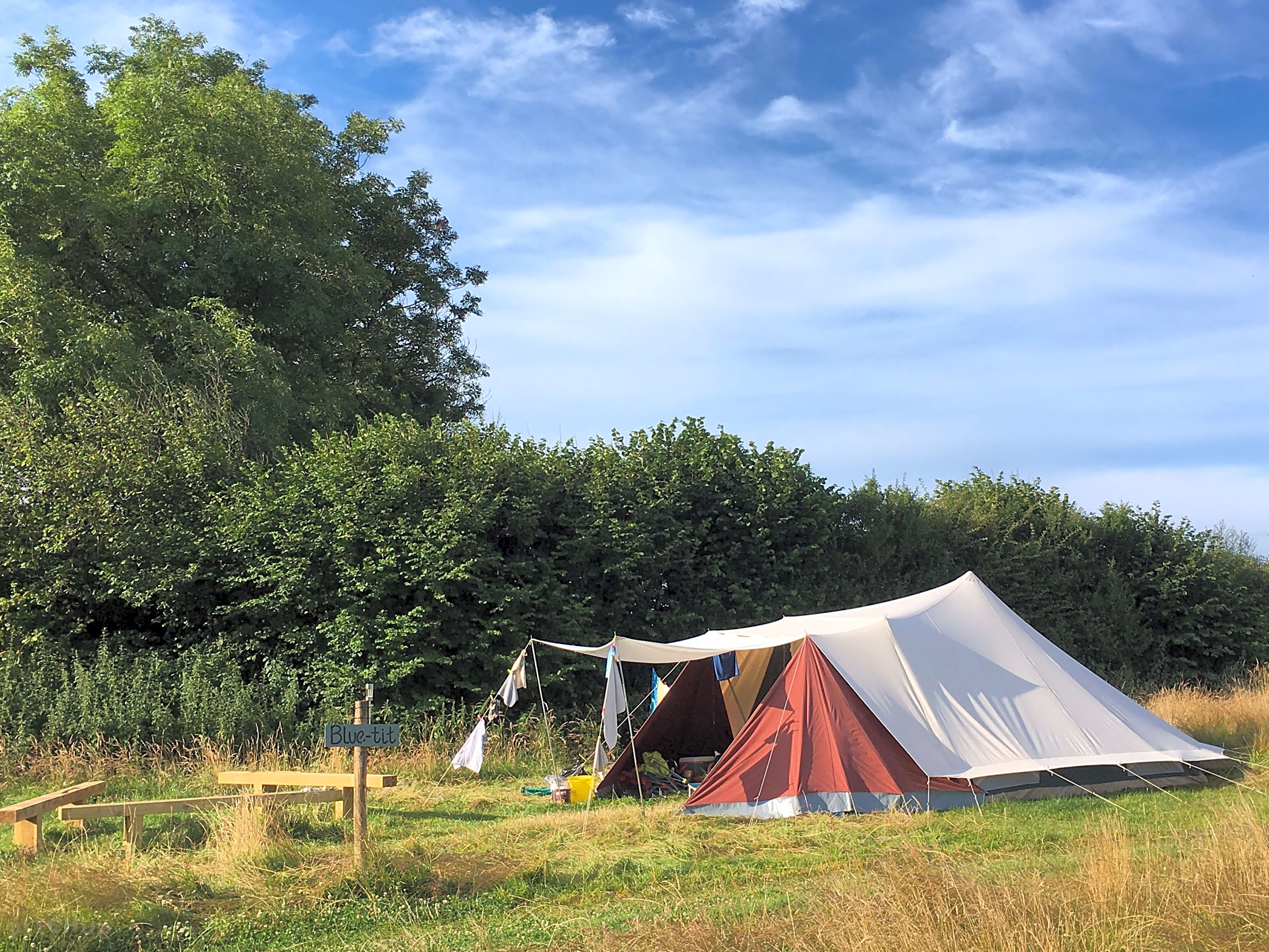 Dutch clearance canvas tents