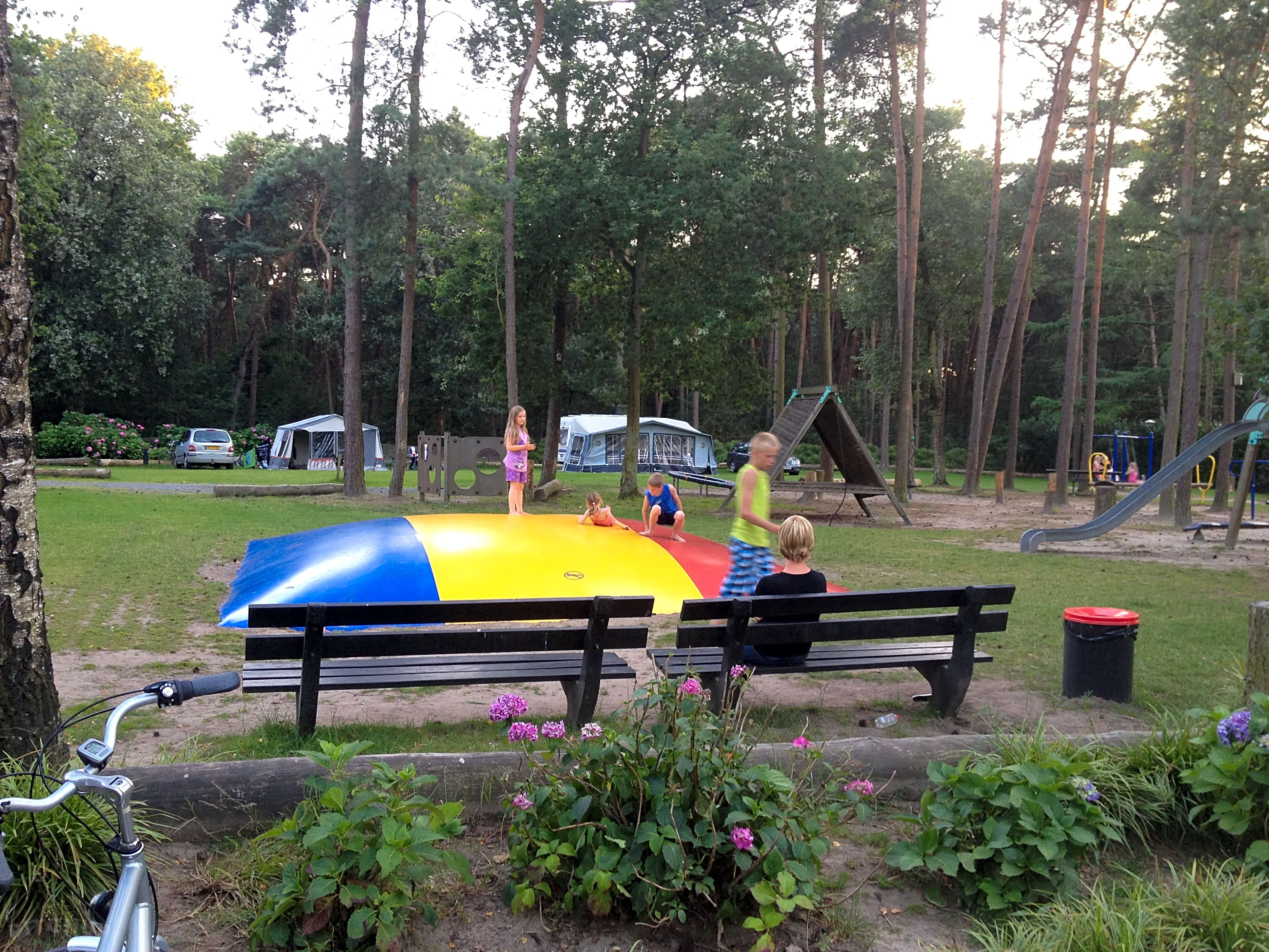 Nauwgezet pad besteden Vakantiepark De Reebok, Oisterwijk, North Brabant - Pitchup®