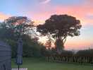 Sunset from outdoor seating