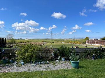View from the garden