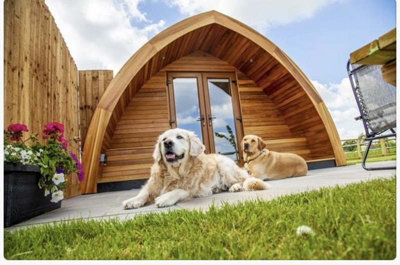 There’s usually some outdoor space for your dogs around glamping pods There’s usually some outdoor space for your dogs around glamping pods